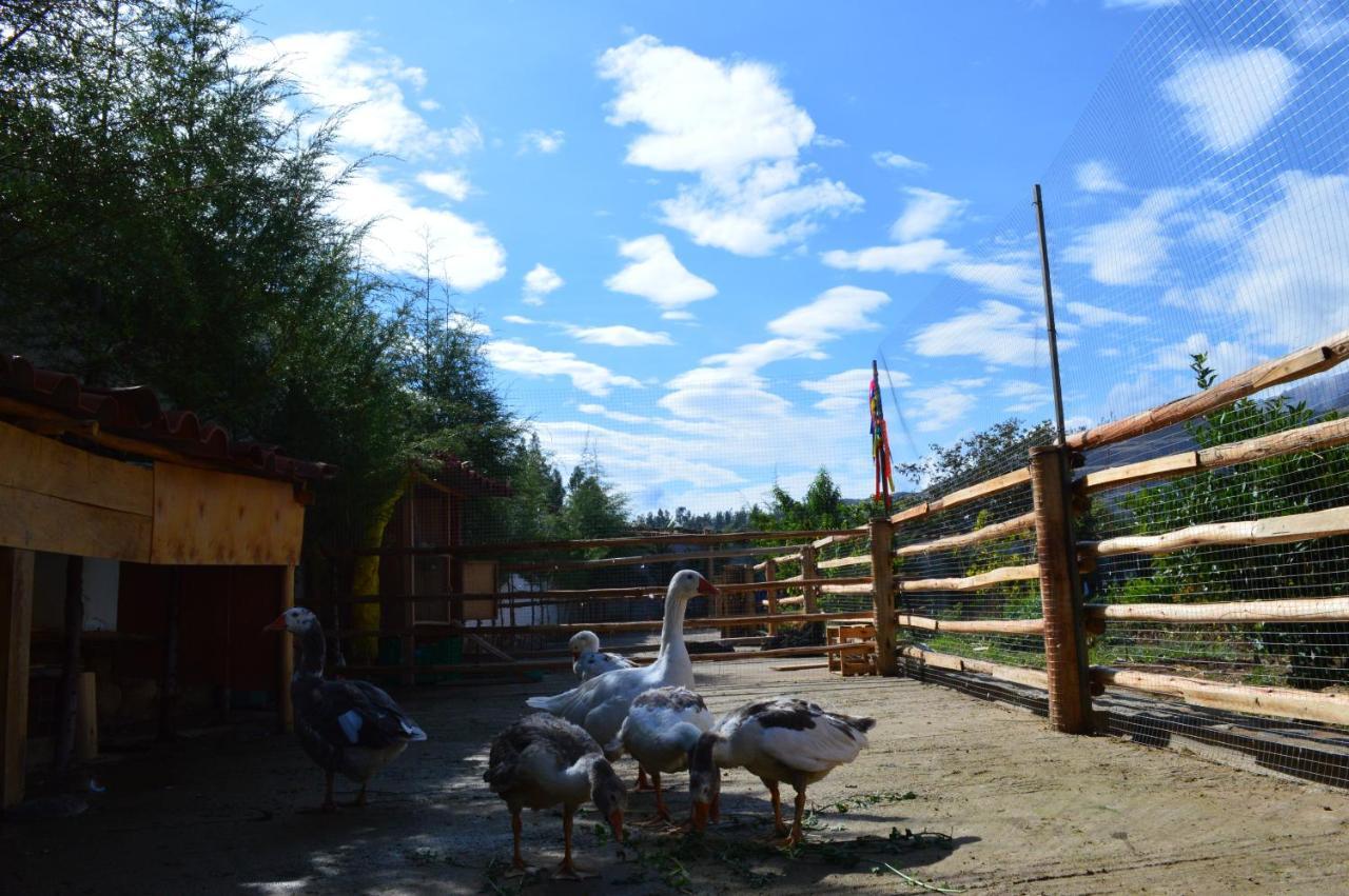Runaway Eco Hotel Carhuaz Zewnętrze zdjęcie