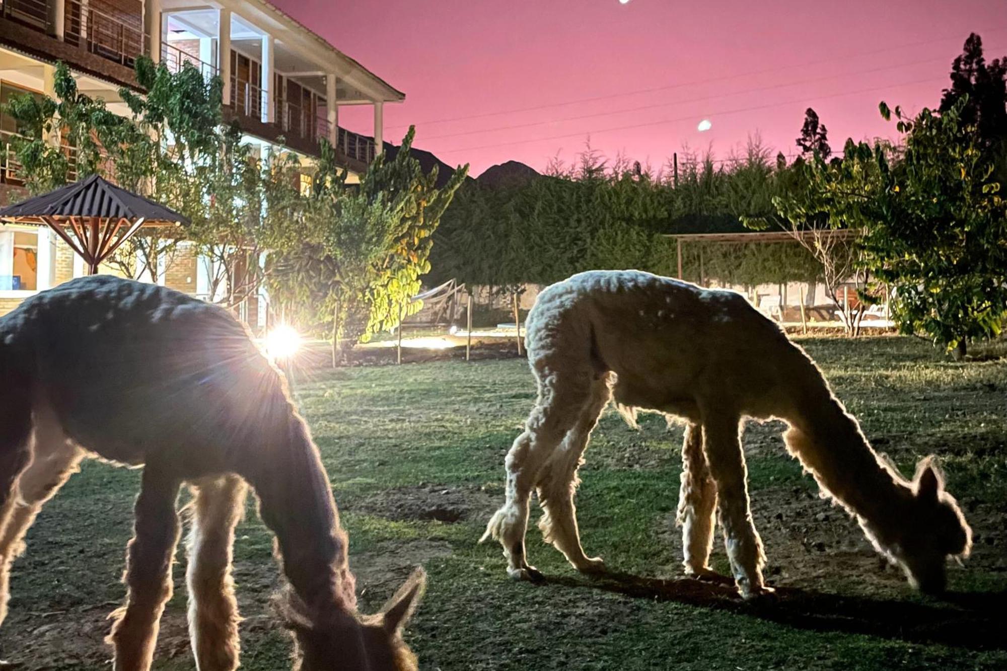 Runaway Eco Hotel Carhuaz Zewnętrze zdjęcie